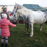 11.11.2019 Kielce. Święto Niepodległości. Uroczystości na Placu Wolności / Jarosław Kubalski / Radio Kielce