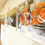 13.11.2019 Kielce. WBK. Wystawa zdjęć NASA  z misji Apollo na Księżyc / Jarosław Kubalski / Radio Kielce