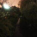 15.11.2019 Kielce. Ścieżki wzdłuż Silnicy pomiędzy ulicami IX Wieków Kielc a Jesionową nocą / Jarosław Kubalski / Radio Kielce