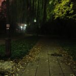 15.11.2019 Kielce. Ścieżki wzdłuż Silnicy pomiędzy ulicami IX Wieków Kielc a Jesionową nocą / Jarosław Kubalski / Radio Kielce