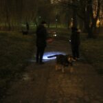 15.11.2019 Kielce. Ścieżki wzdłuż Silnicy pomiędzy ulicami IX Wieków Kielc a Jesionową nocą / Jarosław Kubalski / Radio Kielce