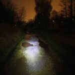 15.11.2019 Kielce. Ścieżki wzdłuż Silnicy pomiędzy ulicami IX Wieków Kielc a Jesionową nocą / Jarosław Kubalski / Radio Kielce