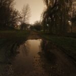 15.11.2019 Kielce. Ścieżki wzdłuż Silnicy pomiędzy ulicami IX Wieków Kielc a Jesionową nocą / Jarosław Kubalski / Radio Kielce