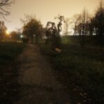 15.11.2019 Kielce. Ścieżki wzdłuż Silnicy pomiędzy ulicami IX Wieków Kielc a Jesionową nocą / Jarosław Kubalski / Radio Kielce