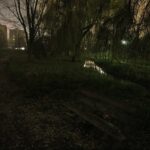 15.11.2019 Kielce. Ścieżki wzdłuż Silnicy pomiędzy ulicami IX Wieków Kielc a Jesionową nocą / Jarosław Kubalski / Radio Kielce