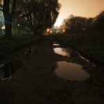 15.11.2019 Kielce. Ścieżki wzdłuż Silnicy pomiędzy ulicami IX Wieków Kielc a Jesionową nocą / Jarosław Kubalski / Radio Kielce