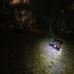 15.11.2019 Kielce. Ścieżki wzdłuż Silnicy pomiędzy ulicami IX Wieków Kielc a Jesionową nocą / Jarosław Kubalski / Radio Kielce