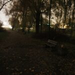 15.11.2019 Kielce. Ścieżki wzdłuż Silnicy pomiędzy ulicami IX Wieków Kielc a Jesionową nocą / Jarosław Kubalski / Radio Kielce