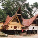 Sumatra / Danuta Rusała