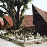 Sumatra / Danuta Rusała