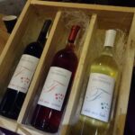 10.11.2019. Malice Kościelne. Dożynki winiarskie w winnicy Terra / Emilia Sitarska / Radio Kielce