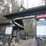 Zimowe wejście na Łysicę / Marzena Mąkosa / Radio Kielce