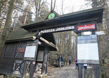Zimowe wejście na Łysicę / Marzena Mąkosa / Radio Kielce