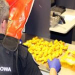 mazowieckie.kas.gov.pl