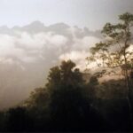 Borneo / Danuta Rasała