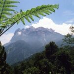 Borneo / Danuta Rasała