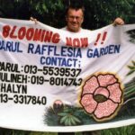 Borneo / Danuta Rasała