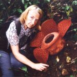 Sumatra / Danuta Rusała