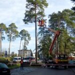 19.11.2019. Ostrowiec Świętokrzyski. Remont parkingu przed szpitalem / Emilia Sitarska / Radio Kielce