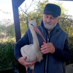 03.11.2019 Złota. Ośrodek „Ptakolub”. Na zdjęciu: Tadeusz Ptak - właściciel ośrodka / Dorota Klusek / Radio Kielce