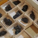 24.11.2019. Kielce. Giełda Minerałów, Skamieniałości i Wyrobów Jubilerskich / Wiktor Taszłow / Radio Kielce