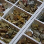 24.11.2019. Kielce. Giełda Minerałów, Skamieniałości i Wyrobów Jubilerskich / Wiktor Taszłow / Radio Kielce