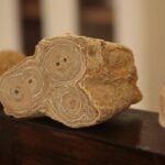 24.11.2019. Kielce. Giełda Minerałów, Skamieniałości i Wyrobów Jubilerskich / Wiktor Taszłow / Radio Kielce