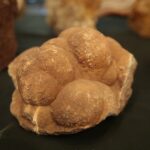 24.11.2019. Kielce. Giełda Minerałów, Skamieniałości i Wyrobów Jubilerskich / Wiktor Taszłow / Radio Kielce