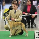 24.11.2019. Kielce. XVI Międzynarodowa Wystawa Psów Rasowych / Wiktor Taszłow / Radio Kielce