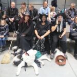 24.11.2019. Kielce. XVI Międzynarodowa Wystawa Psów Rasowych / Wiktor Taszłow / Radio Kielce