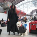 24.11.2019. Kielce. XVI Międzynarodowa Wystawa Psów Rasowych / Wiktor Taszłow / Radio Kielce