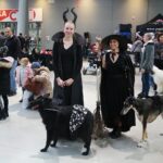 24.11.2019. Kielce. XVI Międzynarodowa Wystawa Psów Rasowych / Wiktor Taszłow / Radio Kielce