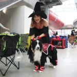 24.11.2019. Kielce. XVI Międzynarodowa Wystawa Psów Rasowych / Wiktor Taszłow / Radio Kielce