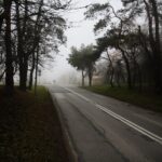 26.11.2019. Kielce. Ulica Wojska Polskiego na odcinku od Ronda Czwartaków do granicy miasta / Wiktor Taszłow / Radio Kielce