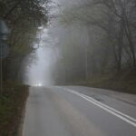 26.11.2019. Kielce. Ulica Wojska Polskiego na odcinku od Ronda Czwartaków do granicy miasta / Wiktor Taszłow / Radio Kielce