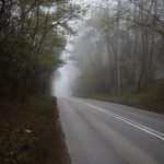 26.11.2019. Kielce. Ulica Wojska Polskiego na odcinku od Ronda Czwartaków do granicy miasta / Wiktor Taszłow / Radio Kielce