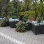 Kielce. 07.11.2019. Donice osłaniające zniszczony mur przy ulicy Jana Pawła II / Wiktor Taszlow / Radio Kielce