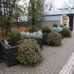 Kielce. 07.11.2019. Donice osłaniające zniszczony mur przy ulicy Jana Pawła II / Wiktor Taszlow / Radio Kielce