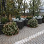 Kielce. 07.11.2019. Donice osłaniające zniszczony mur przy ulicy Jana Pawła II / Wiktor Taszlow / Radio Kielce