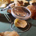 23.11.2019. Kielce. 65. Ogólnopolska Giełda Minerałów, Skamieniałości i Wyrobów Jubilerskich / Wiktor Taszłow / Radio Kielce