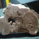 23.11.2019. Kielce. 65. Ogólnopolska Giełda Minerałów, Skamieniałości i Wyrobów Jubilerskich / Radio Kielce