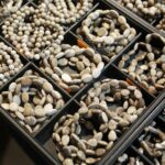 23.11.2019. Kielce. 65. Ogólnopolska Giełda Minerałów, Skamieniałości i Wyrobów Jubilerskich / Wiktor Taszłow / Radio Kielce