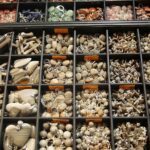 23.11.2019. Kielce. 65. Ogólnopolska Giełda Minerałów, Skamieniałości i Wyrobów Jubilerskich / Wiktor Taszłow / Radio Kielce