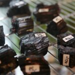 23.11.2019. Kielce. 65. Ogólnopolska Giełda Minerałów, Skamieniałości i Wyrobów Jubilerskich / Wiktor Taszłow / Radio Kielce