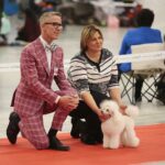 23.11.2019 Kielce. Międzynarodowa Wystawa Psów Rasowych / Wiktor Taszlow / Radio Kielce