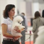 23.11.2019 Kielce. Międzynarodowa Wystawa Psów Rasowych / Wiktor Taszlow / Radio Kielce