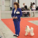 23.11.2019 Kielce. Międzynarodowa Wystawa Psów Rasowych / Wiktor Taszlow / Radio Kielce