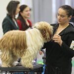 23.11.2019 Kielce. Międzynarodowa Wystawa Psów Rasowych / Wiktor Taszlow / Radio Kielce