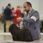 23.11.2019 Kielce. Międzynarodowa Wystawa Psów Rasowych / Wiktor Taszlow / Radio Kielce