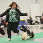 23.11.2019 Kielce. Międzynarodowa Wystawa Psów Rasowych / Wiktor Taszlow / Radio Kielce